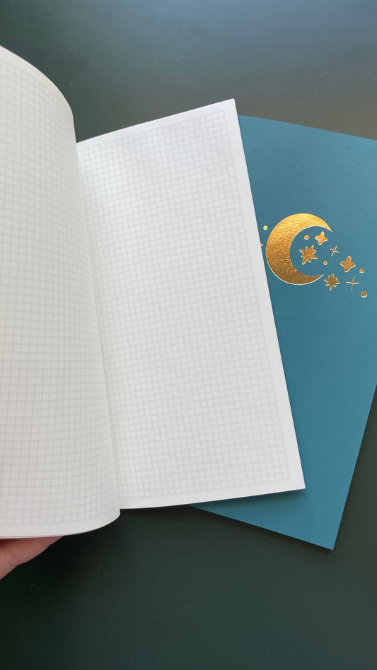 Sky Blue Tomoe River Paper Notebook (Standard Traveler's Notebook)